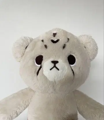 NCT 마크 40cm 치타리 봉제 인형