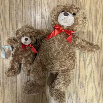 테디베어 봉제 인형, 백팩