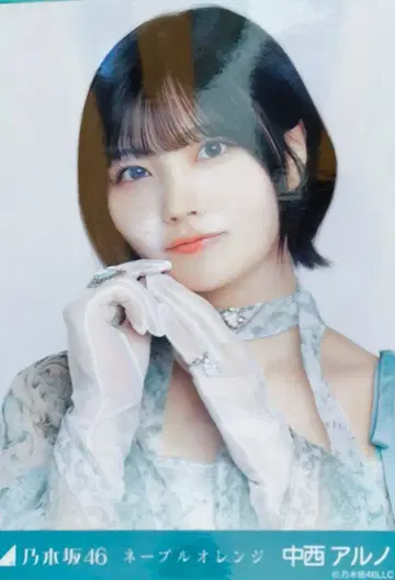 노기자카46 브로마이드 요리 나카니시 아르노 네이블 오렌지