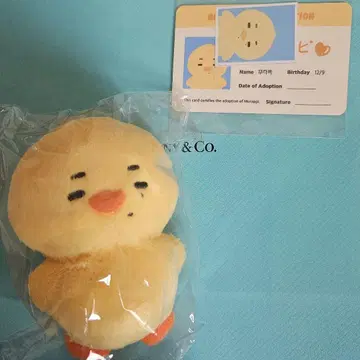ENHYPEN 니키 봉제 인형 무라피 마스터