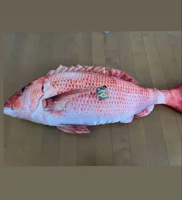 리얼 물고기 봉제 인형
