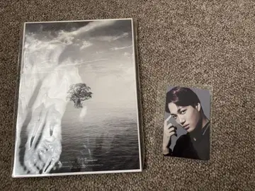 EXO Bird mu-mo 샵 한정판 트레이딩 카드 카이