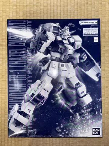 MG 1/100 건담 TR-1 [헤이즐 개]