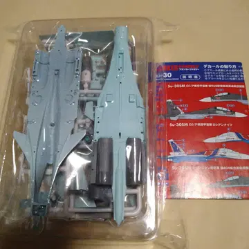 에프토이즈 프랭커 패밀리 Su-30 러시아 공군 증강 시험 제작 3호기