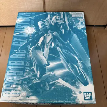 MG 1/100 리가지 커스텀