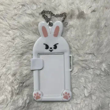 Leebit 트레이딩 카드 케이스 리노 Lee 비트 흠집