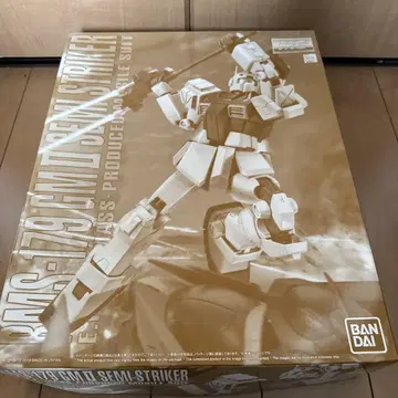 MG 1/100 헬스장 II 세미 스트라이커