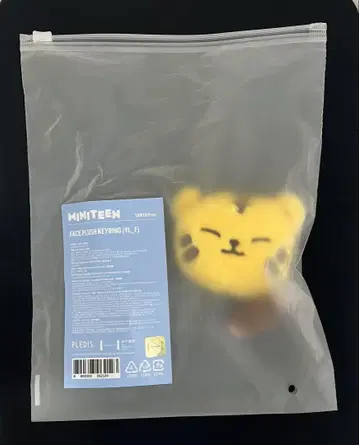 SEVENTEEN 한국 팝업 미니틴 키링 호시