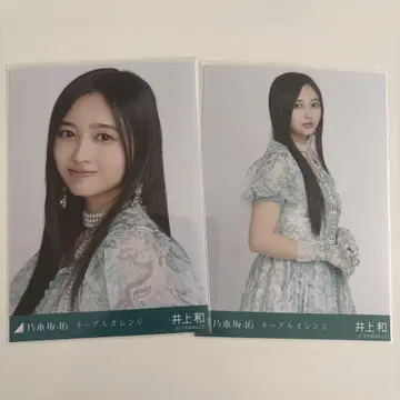이노우에 네이블 오렌지 요리 츄 세미 컴프
