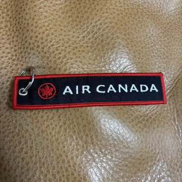 Air Canada A220 택