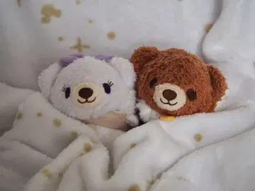 유니 베어 시티 쯔무 쯔무 퍼피 몬
