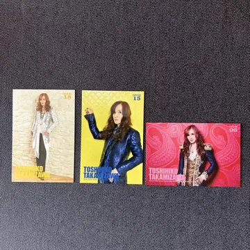 THE ALFEE 타카미자와 토시히코 씨 트레이딩 카드 3장 세트