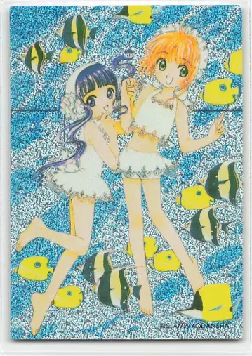 카드다스 마스터 원작판 CLAMP 키노모토 사쿠라&다이도지 치요
