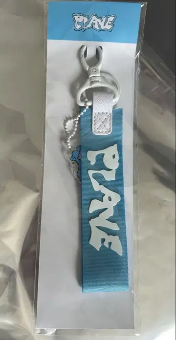 플래브 스트랩 키링