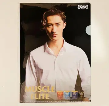 SAVAS 이와모토 테루