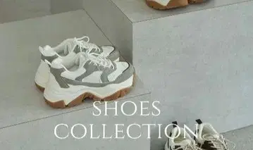 이번 시즌 다나카 리나 씨의 댑 스니커즈 mysa closet LL