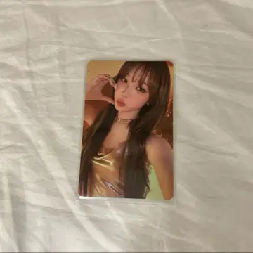 체원 hot 타워 레코드 라키드로 트레이딩 카드