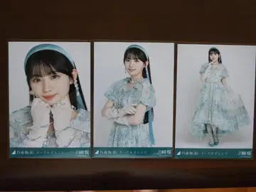 노기자카46 카와사키 사쿠라 네이블 오렌지 컴프
