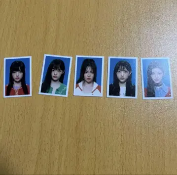 newjeans 2024 시그리 멤버 전원 증명 사진 공식 상품 최저가