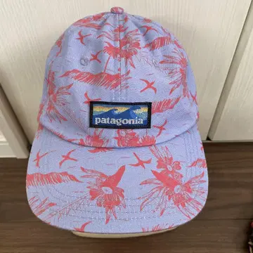 Patagonia 캡 퍼플