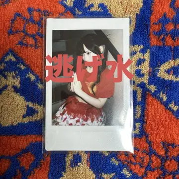 삐삐 소리를 내보세요 신기루 아뮤 폴라로이드