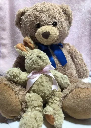곰과 토끼 봉제 인형 세트