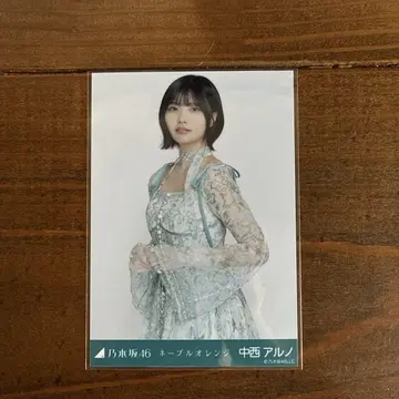 네이블 오렌지 브로마이드 나카니시 아르노
