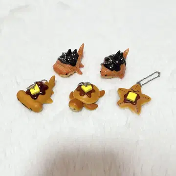 가챠가챠 메이플 시 사메와산(초코 가케)