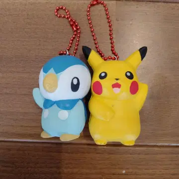 스퀴즈