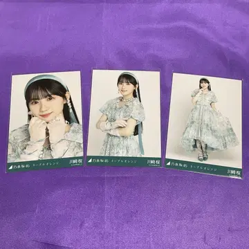 카와사키 사쿠라 네이블 오렌지 브로마이드 컴프