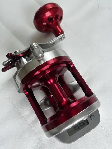 다이와 토너먼트 돌돔 Z40