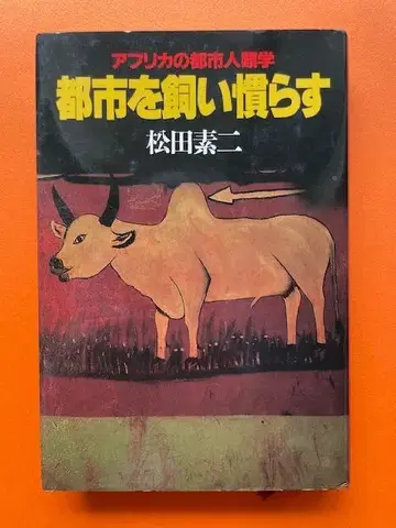 도시를 길들이기 - 아프리카의 도시 인류학 - 마츠다 모토지