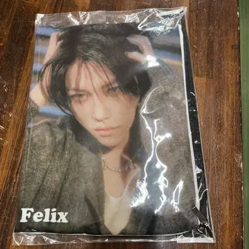 Felix 파우치