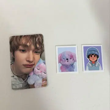리이즈 미드나이트
