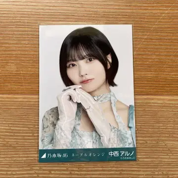 네이블 오렌지 나카니시 아르노 요리