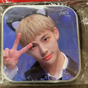 현진 CD/DVD 케이스 20매 수납