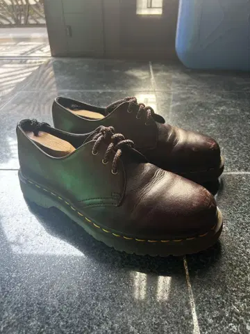 Dr.Martens 한정 컬러