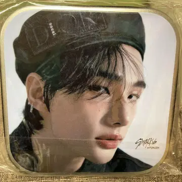 현진 CD/DVD 케이스 20매 수납