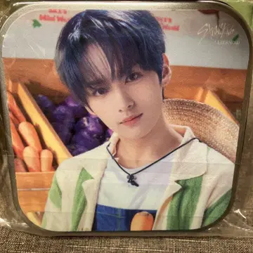 리노 CD/DVD 케이스 20매 수납