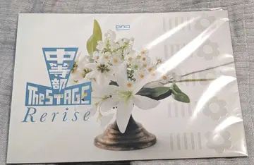 무대 레뷰 스타 라이트 중등부 Rerise 리라이즈 공연 팜플렛