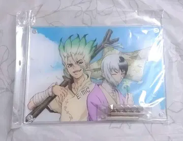 Dr.STONE 아크릴 보드 센쿠우 겐