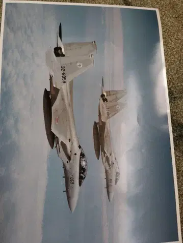 F-15J 일본 전투기 비행 사진