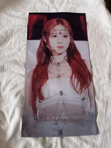 aespa 윈터 슬로건 GOT the beat