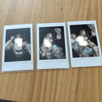 츠키아시 아메네 폴라로이드 Zepp 투어
