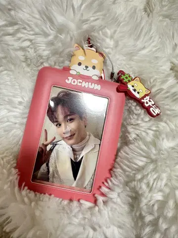 제오참 마메치 트레이딩 카드 케이스
