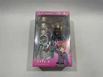 어솔트 릴리 커스텀 릴리 아존 AZONE TYPE-A 피규어