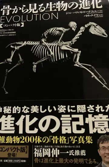 뼈로 보는 생물의 진화 컴팩트판