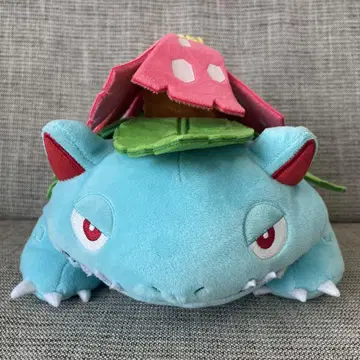 포켓몬 펑키바나 봉제 인형 높이 약 20cm