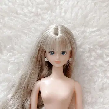새상품급 리카짱 캐슬 제니 프렌드 시온