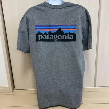 파타고니아 티셔츠 그레이 XL
